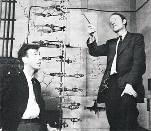 ▲ DNA 모델 앞에 선 제임스 왓슨(왼쪽)과 프랜시스 크릭. 