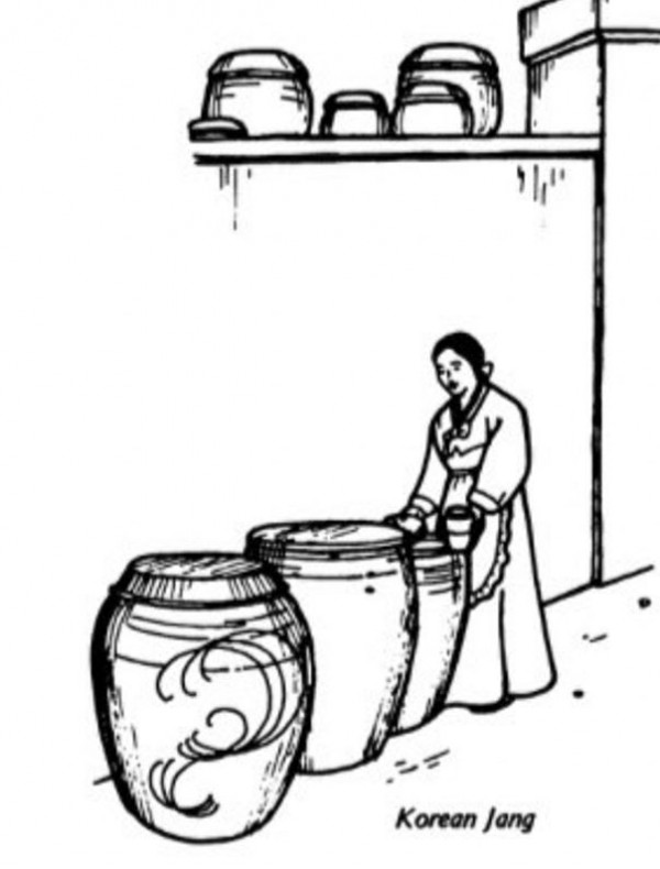 The Book of Miso: Savory Fermented Soy(247쪽)에 그려진 한국 장독대 모습. 그림을 그린 아오야기는 한국을 방문하지 않고 사진을 보고 그린 듯하다 ⓒ 주영하