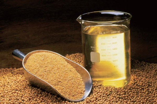 콩에서 뽑아낸 콩기름 ⓒ 위키피디아 Soybean_oil